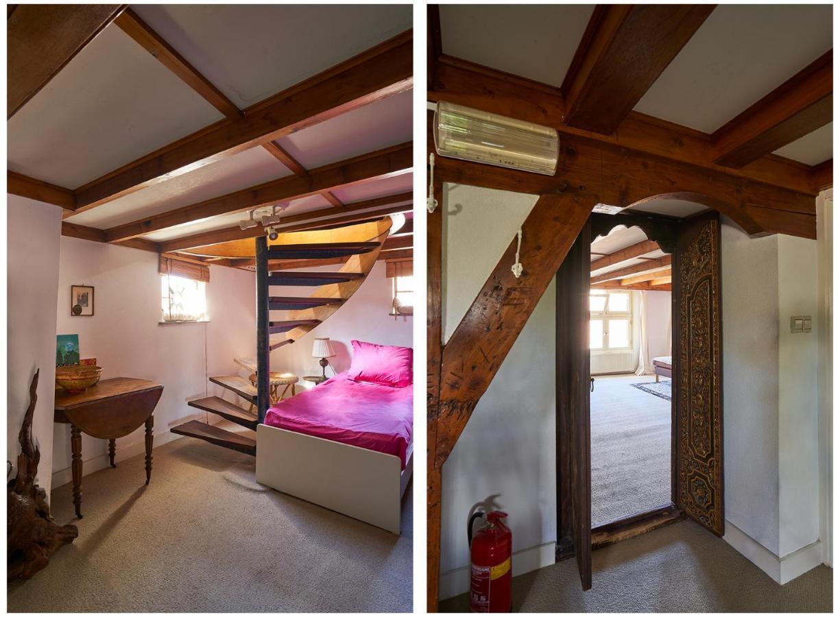 Huis Met De Leeuwenkoppen ديرين المظهر الخارجي الصورة